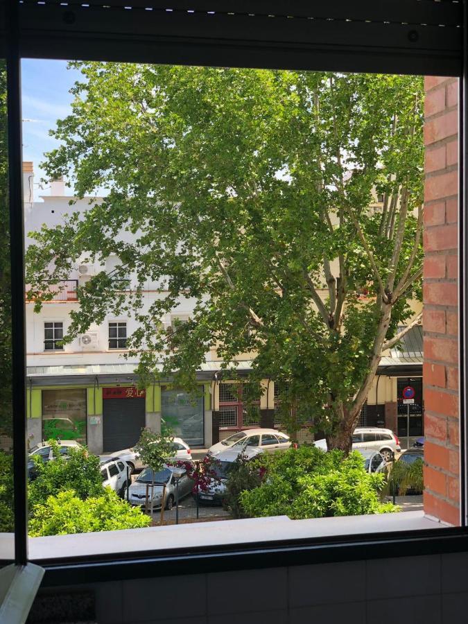 Apartamento Triana Center Sevilla Dış mekan fotoğraf